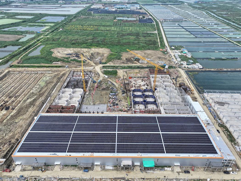 1801762586076281.jpg sfs.jpg